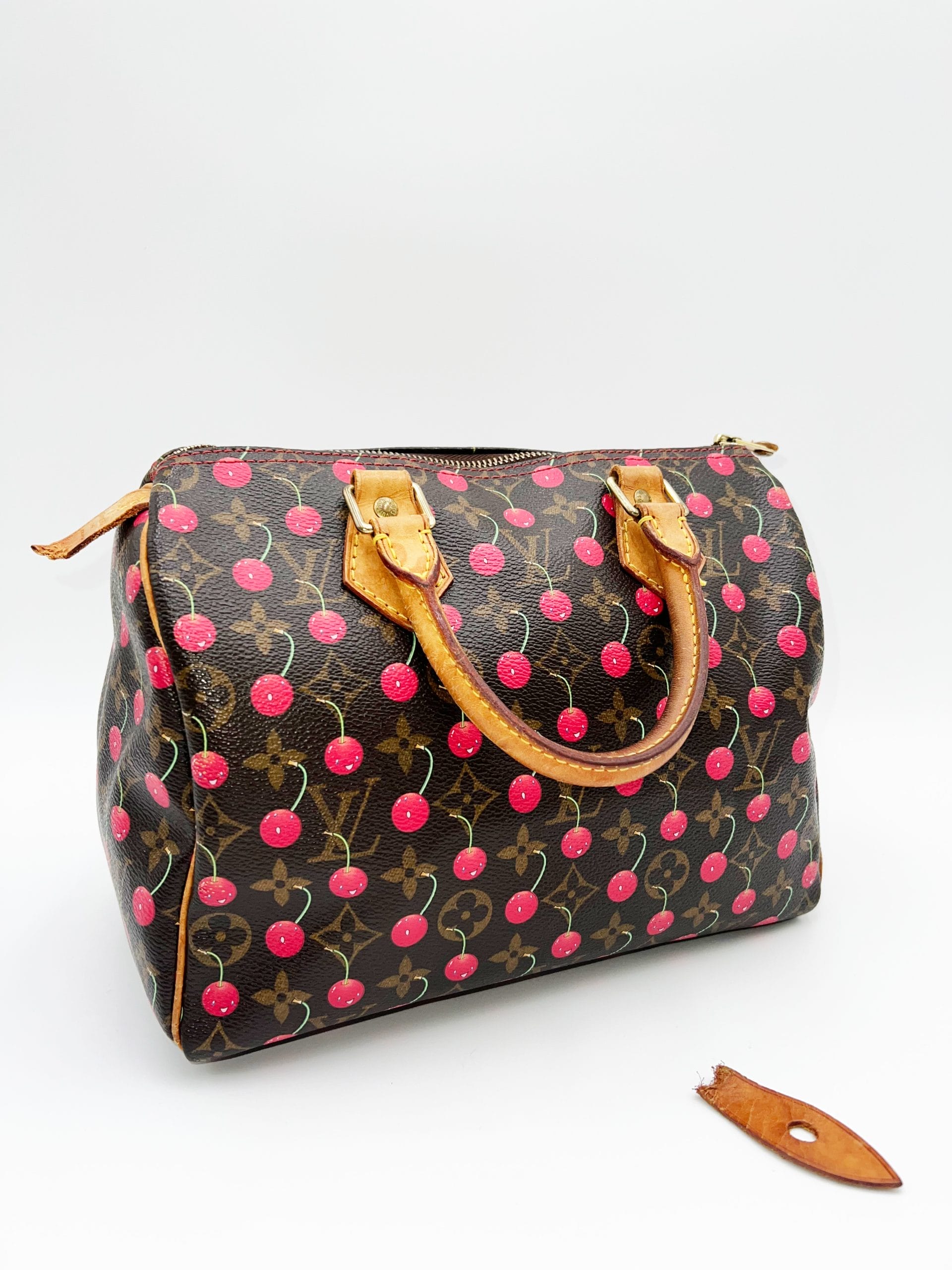 Louis Vuitton Takashi Murakami Monogram Cherry Speedy 25 - Long 