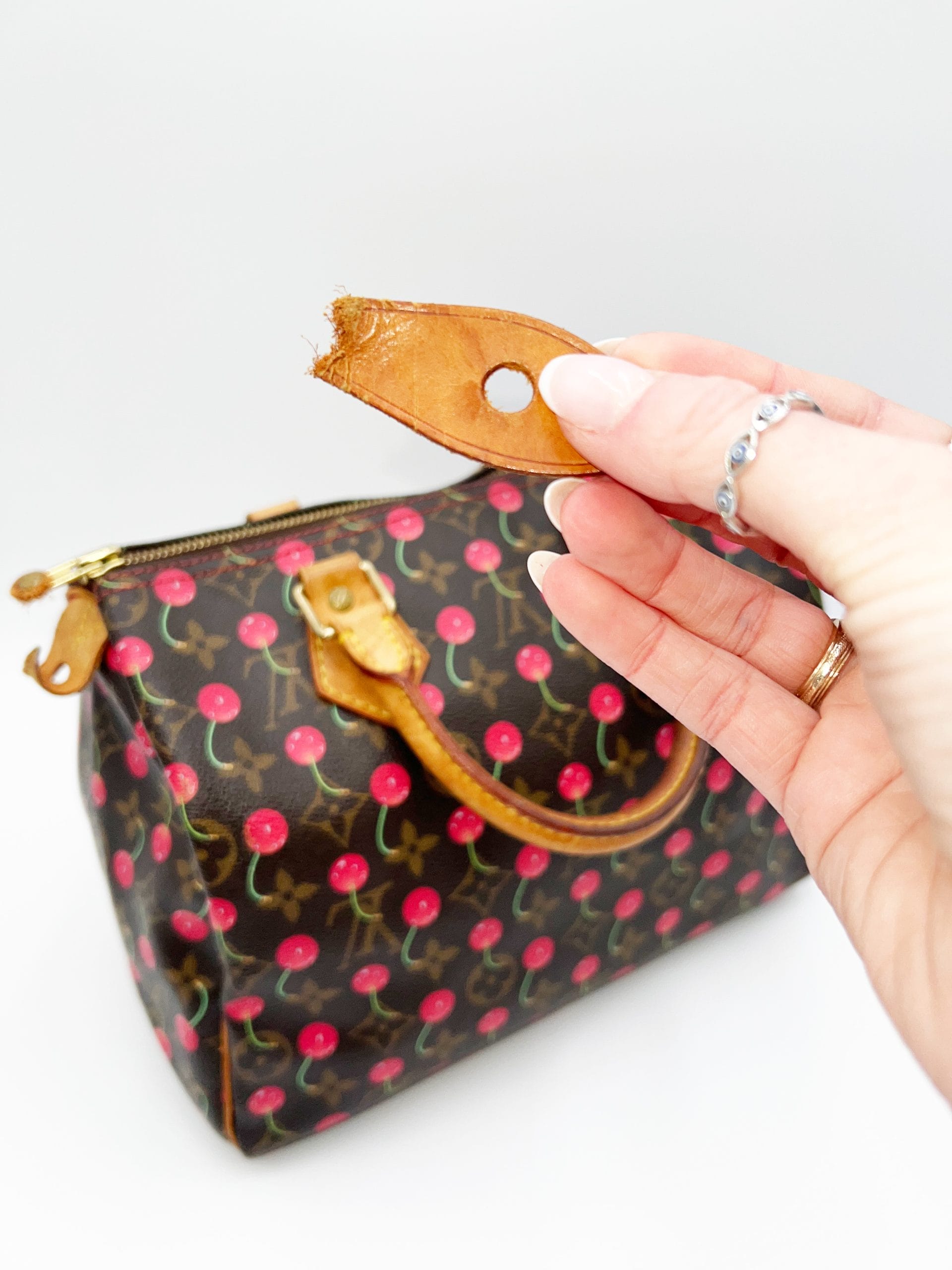 Louis Vuitton Takashi Murakami Monogram Cherry Speedy 25